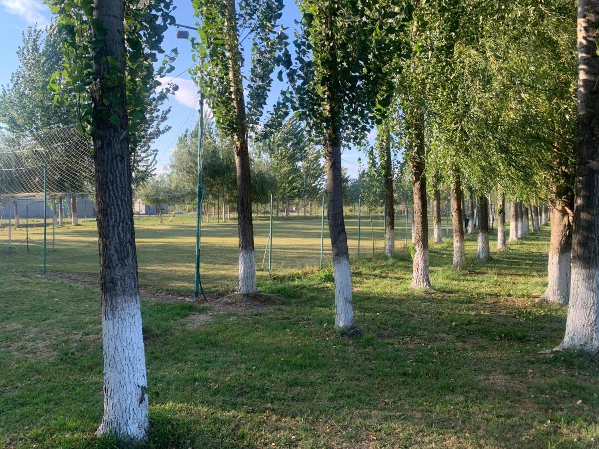 Villa Gigios Sport&Relax Bailesti Exterior foto